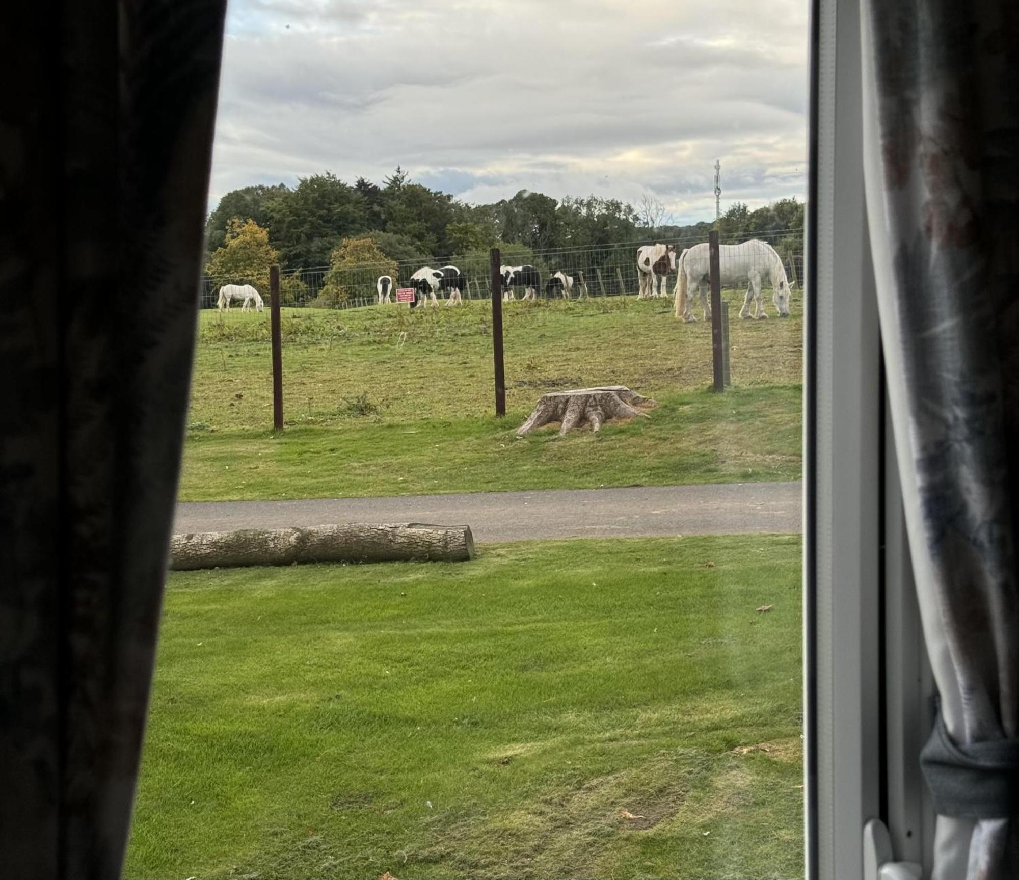 Pony Gate Caravan On Haggerstone Castle West Lawn Berwick Upon Tweed Exterior foto